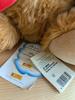 [USED] Steiff Teddy Bear, Blonde and Brown, Plush Toy, with Tag (Final Price Drop)