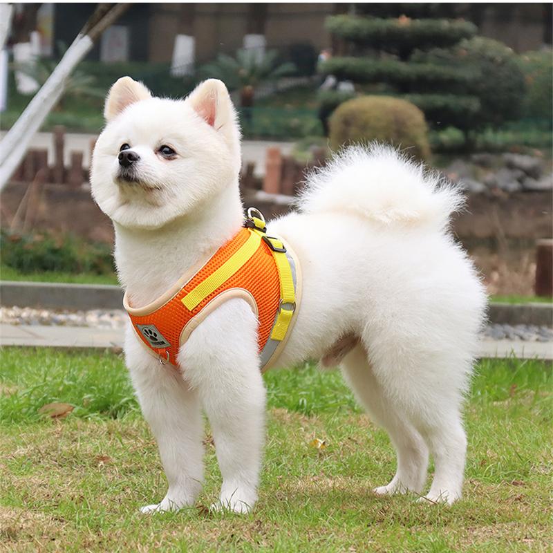Pet Vest Harness Leash Set Reflective Safety Dog Chest Strap Pug Chihuahua Bulldog Harness Puppy Training Walking