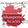506 Дисперсный Скарлет GG Нейлон Полиамид Краситель Порошок SunDat New Earth