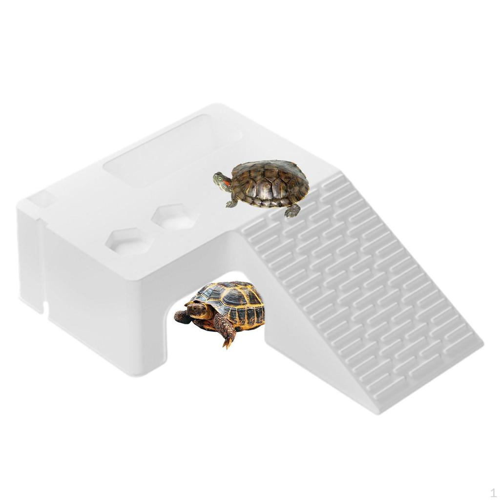 Tortoise Basking Platform Aquarium Animal Sink Wharf Climbing Shelf Resting for Salamanders