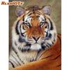 Frame Picture Tigers Diy Painting By Numbers Animals Coloring By Numbers Acrylic Canvas Painting Handpainted Drawing Art
