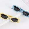 Elliptical Personalized Sunglasses Fashionable Trend Solid Color Emale Retro Anti-UV Sunglasses