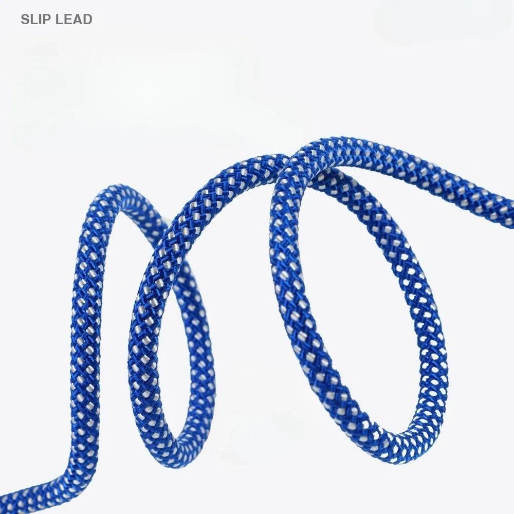 Anti Lock And Wear-resistant Training Explosion Proof P Traction Rope Dog Walking Leash Dog Accessories For Small Dogs
