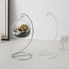 Modern Minimalist Hanging Glass Sphere with Iron Stand for Plants