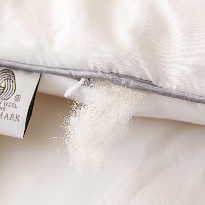 Jieliya Australian Wool Winter Comforter