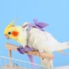 Parrot Outdoor Walking Harness Leash Soft Skin-Friendly Flight Training Rope for Cockatiel Budgie Parakeet Pet Bird Supplies