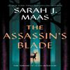 The Assassins Blade by Sarah J. Maas Hardback Book 9781639731084