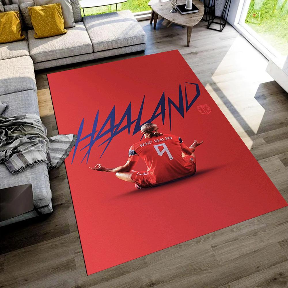 Haaland Area Rug Perfect for Kitchen Decorate room Study room Hallway Antislip Carpet Anime Office Decor Perfect Birthday/Christmas Gift Idea