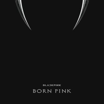ВТОРОЙ АЛЬБОМ [BORN PINK] КОРОБОЧНЫЙ НАБОР [ЧЕРНАЯ ВЕРСИЯ]