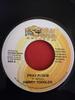 7inch Record HARRY TODDLER - Pray Fi Dem NONE Down Sound Reco Jamaica Reggae, Ska & Dub Used