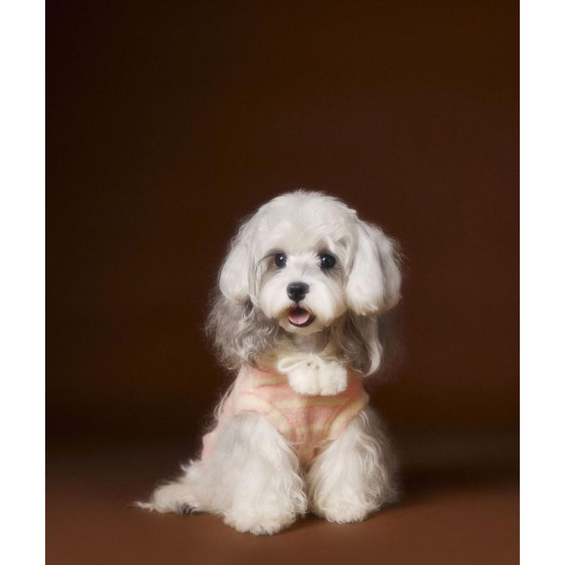Tony Bear Pet Clothes Winter Sleeveless Vest Cute Felt Cookie Sweatshirt Bichon Schnauzer Teddy Small Dogs