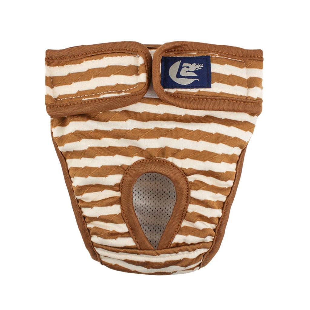 Физиология здоровья домашних собак, менструальные физиологические и санитарные брюки