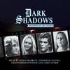 Dark Shadows  Shadows of the Night by Lila Whelan CDAudio Book 9781787030183