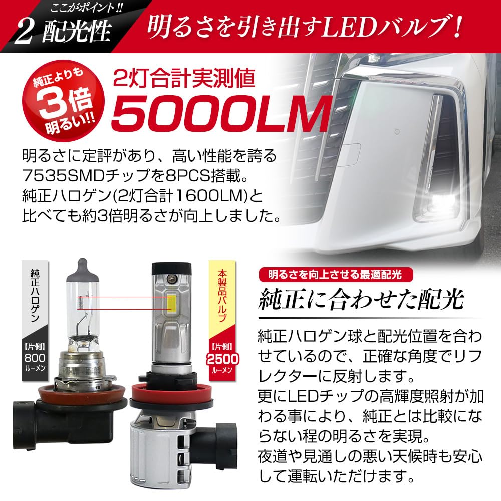 Светодиодная противотуманная фара Shingen XR Mini HB4 9006 Integrated 3000K 4300K 6500K 8000K 10000K 12V All-in-One