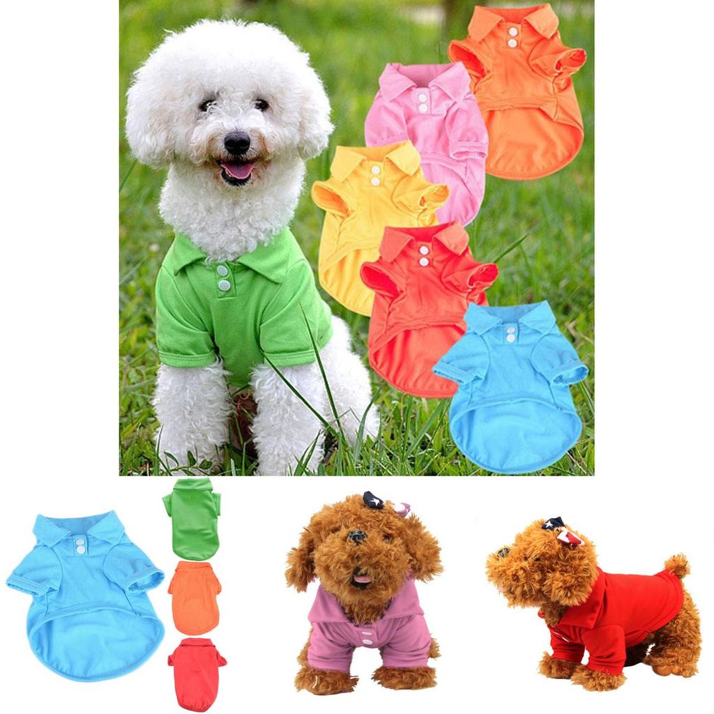 Модная очаровательная футболка-поло для питомца на лето, ярких цветов для собак и кошек