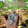 3D Printed Simulated Animal Model with Movable Joints 3D Printed Animal Model  Office