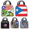 Изолированная сумка для обеда, многоразовая, термосумка-холодильник из Пуэрто-Рико с передним карманом для женщин и мужчин, для путешествий, работы, походов, пикника