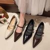 New Retro Style Thick Heel Women Mary Jane Shoes Fashion Shallow Pointed Toe Ladies Comfort Office Pumps Footwear Low Heel Shoes