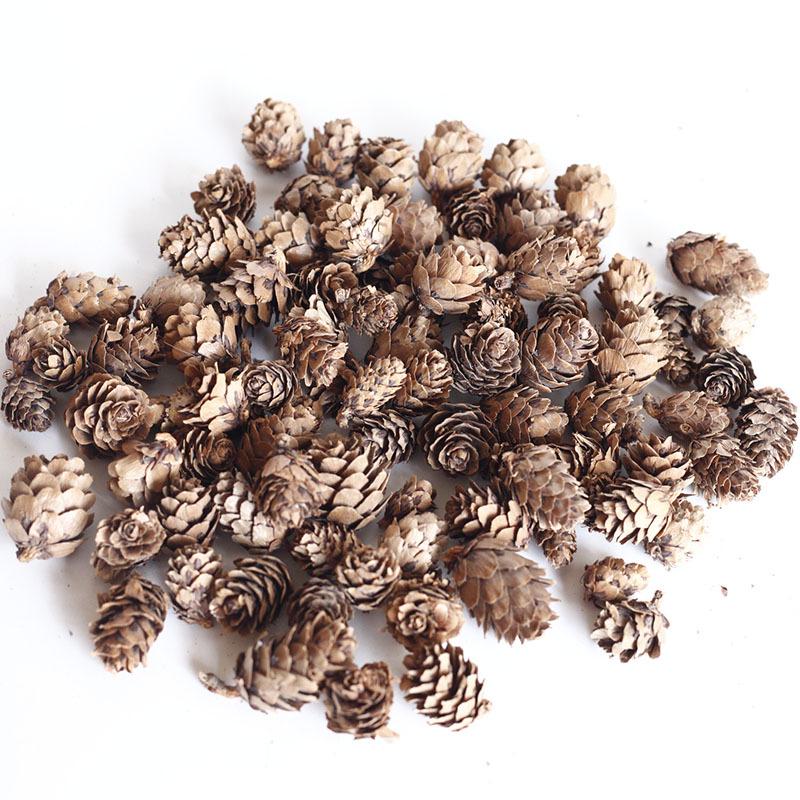 Pistachio Cross Fruit & Fish Scale Pine Gomphrena DIY Dried Flower Weaving Material