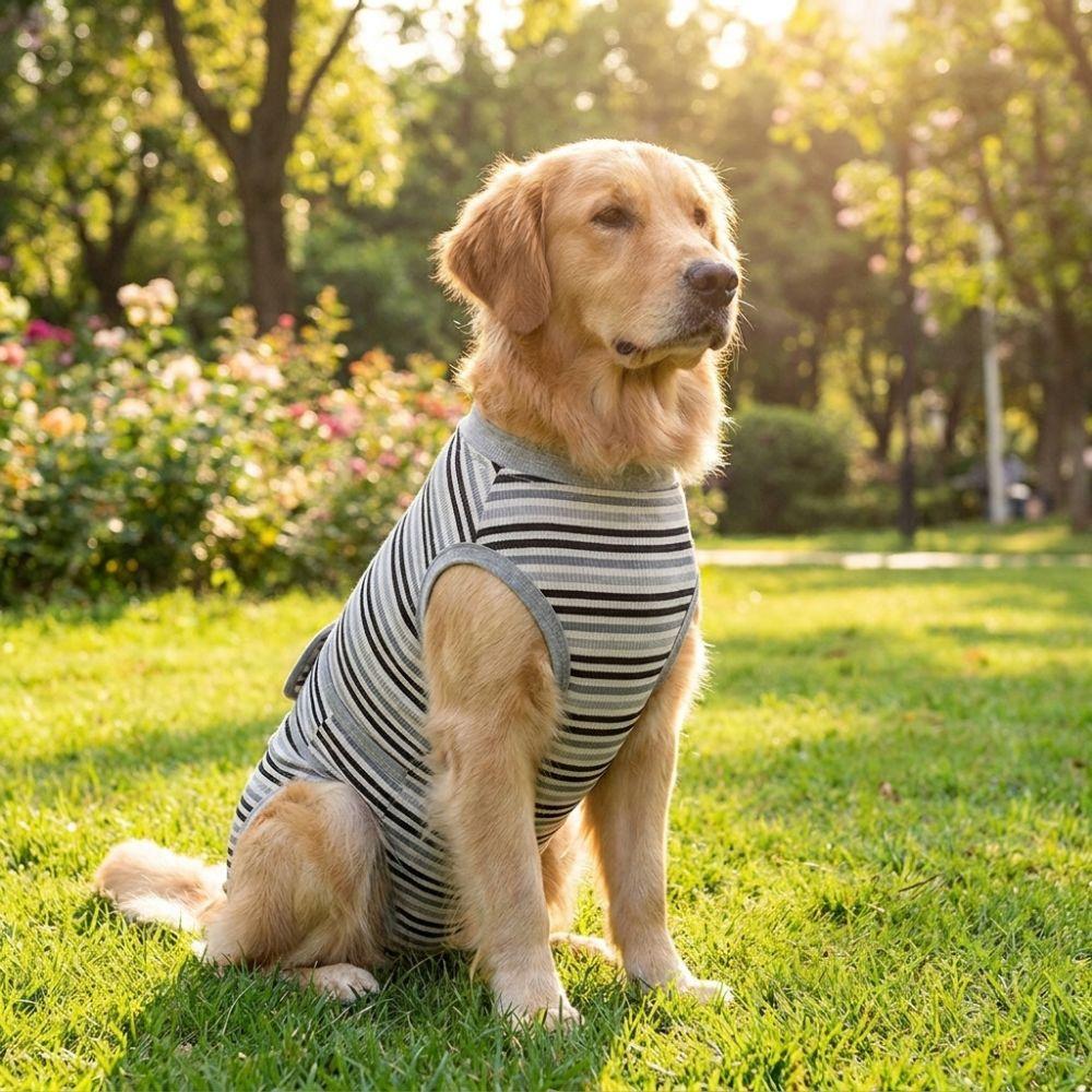 Breathable Dog Sterilization Suit High Elastic Dog Anti-Licking Jumpsuit Spay Neuter Recovery