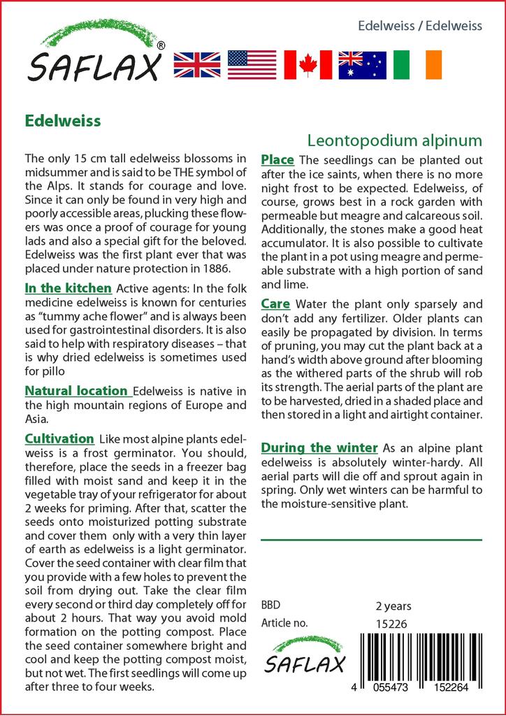 SAFLAX Garden in the Bag - Эдельвейс - 500 семян - С субстратом в подходящем пакете - Leontopodium alpinum