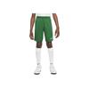 Dri-Fit Spark Comfortable Soft Skin-Friendly Quick-Dry Shorts Kids Shorts Light-Green HF0531-302