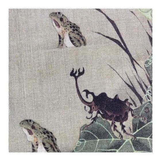 Ito Jakuchu "Ikebe Gun-chuzu" Ukiyo-e Tenugui Towel - Approx. 90x35cm, Made in Japan, 100% Cotton - Featuring Insects, Frogs, Butterflies, Spiders,