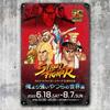 Металлический плакат Street Fighter Retro Video Game 20x30см Жестяная табличка