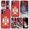 Флаг Сербии Значок Чехол для телефона Для iPhone 16e 15 14 13 12 11 Pro Max XS X XR SE 7 8 Plus Чехол iPhone 16 Мягкий ТПУ Чехол