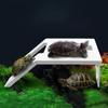 Plastic Turtle Basking Platform with Suction Cup Turtle Floating Ramp  Turtles Tank