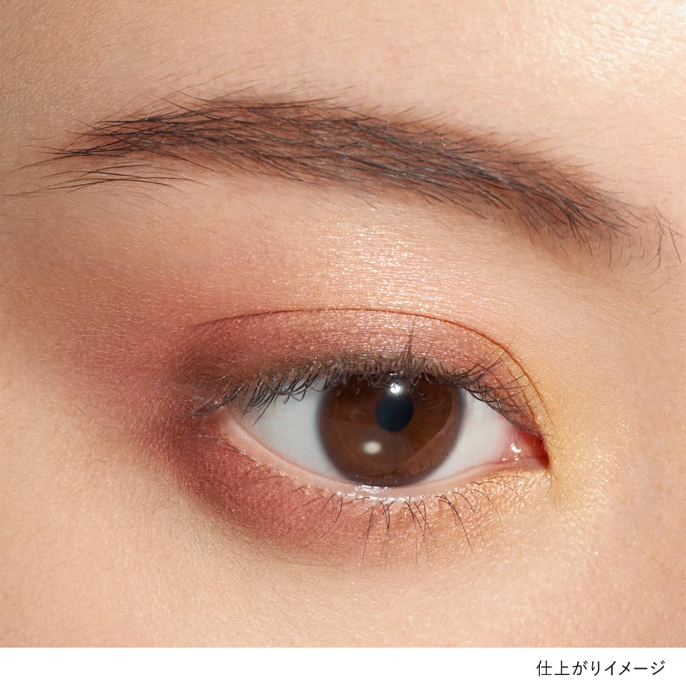 LUNASOL Eye Coloration N 11 [Eyeshadow] Savage Rose