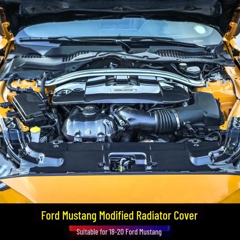 Carbon Fiber Radiator Cover & Hood Latch Guard for 2018-2023 Ford Mustang