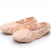 Fashion Professional Children Dance Shoe Canvas Soft Sole Belly Yoga Gym Ballet Shoes Girls Woman Ballerina for Dancing