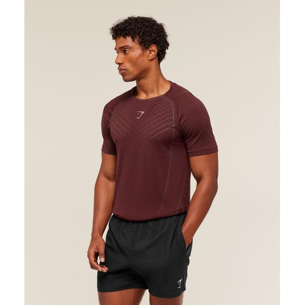 Gymshark Apex Seamless T shirT Rich Maroon chesTnuT Pink A2b3s rb7T