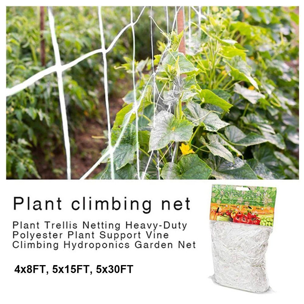 1 шт. 5x30 футов сетка для вьющихся растений многоцелевая сетка для поддержки растений прочная сетка для шпалер вьющиеся растения