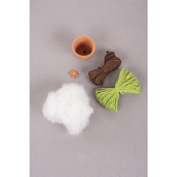 Kit: Cactus boule, 4,5cm 9cm, verre 1pce.