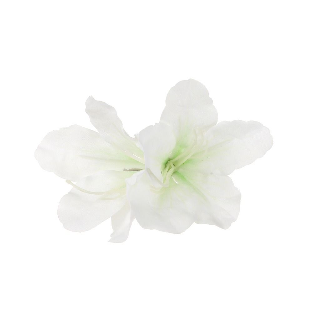 Гавайские шпильки для волос Canna Barrette Gladiolus Bohemia Flower Hair Clips Women