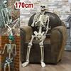 Halloween Skeleton Life Size Human Skeleton With Posable Joints Weather-Resistant Outdoor Decorations Spooky Photo Props Party