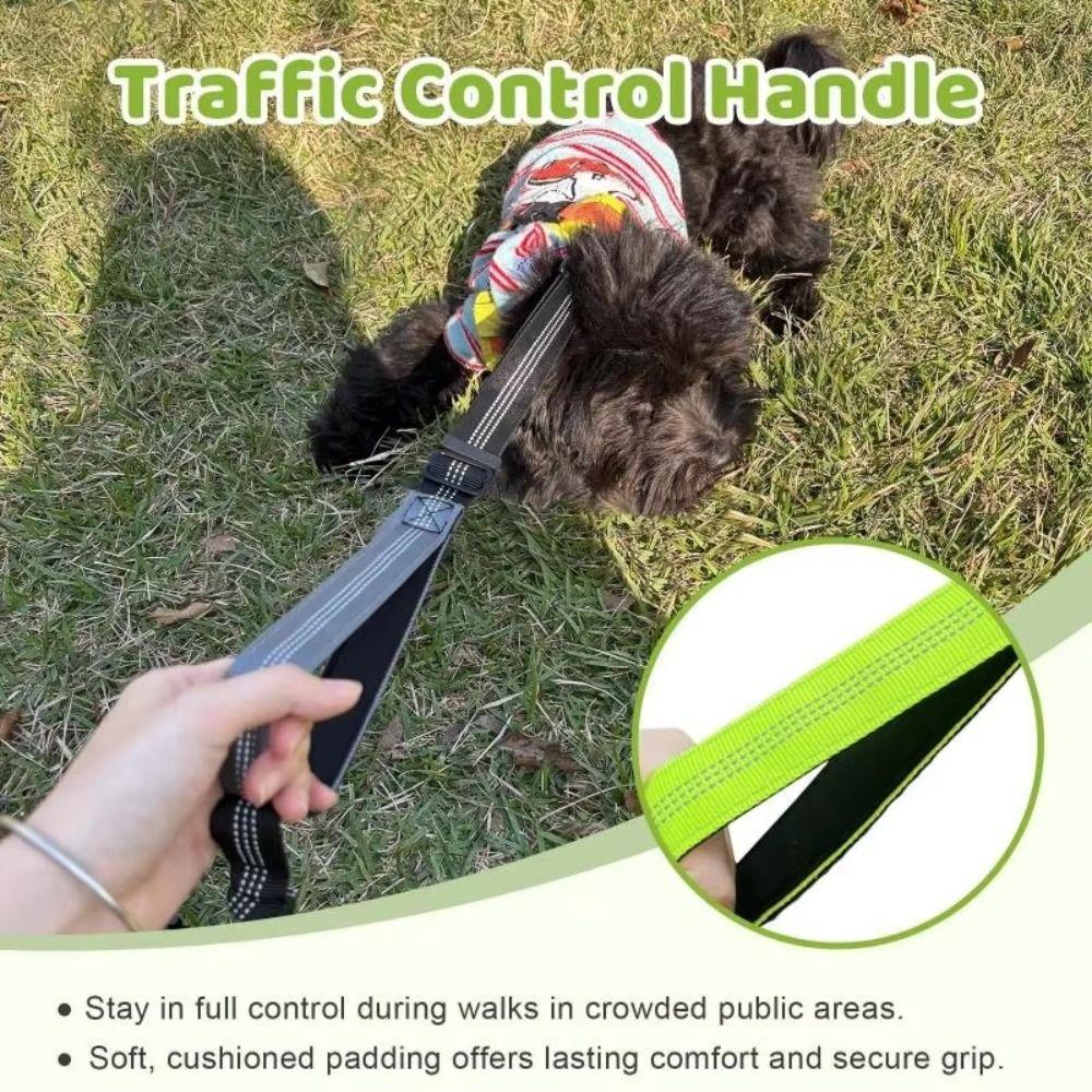 Shock Absorbing Dual Dog Leash No-Tangle Pet Walking Rope Two Dog Lead Rope Two Dogs Walking