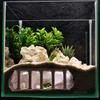 Aquarium Cave Tunnel Roman Column Under Gravel Tunnel Fish Tank Hideaway Small Fish And Shrimp Hideout with Viewing Ports for Betta Shrimp Corydoras