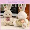 Plaid Cute Dress Cartoon Rabbit Plush Toy For Children Gift And Room Decoration
