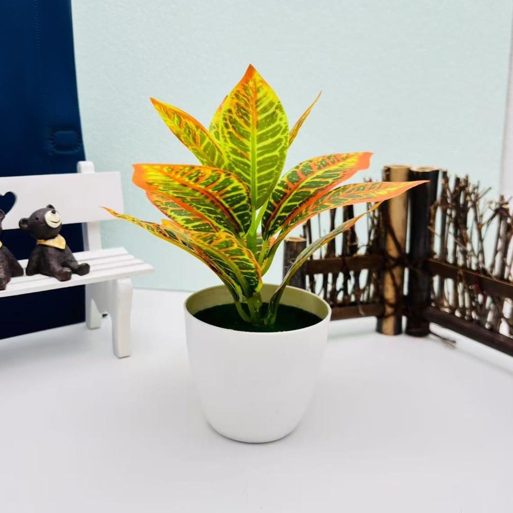 Эпипремнум Золотистый Фиттония Альбивенис Растение в горшке для домашнего декора Настольные акценты
