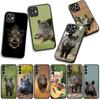 Phone Cover Animal Wild Boar Pig Casing for Apple iPhone 16 15 14 Plus 13 12 Mini 17 Pro Max + ProMax 16E Air 15+ Case