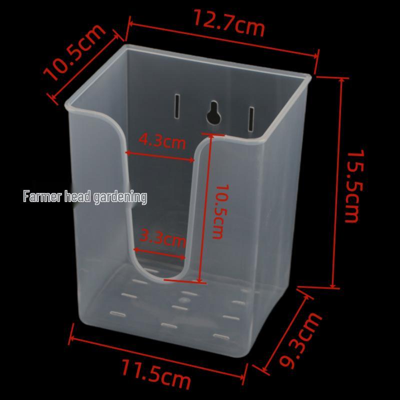 Transparent Wall-Mounted Square Flower Pot for Phalaenopsis, Dendrobium, Staghorn Fern - Root Control, Clear-View Design