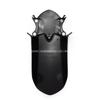 Motorcycle Front Fender Fit For YAMAHA XT660X 2004 - 2014 XT 660 X Mudguard Tire Fairing Part 2006 2008 2009 2010 2011 2012 2013