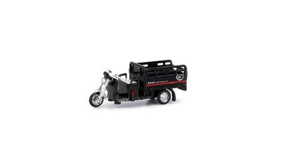 Крошечный город CN21 Трехколесный велосипед SF Express