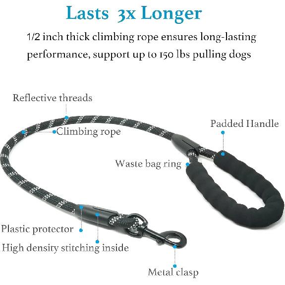 Dual Dog Leash, Double Dog Leash, 360 Swivel No Tangle Walking Leash, Shock Absorbing Bungee for Two Dogs