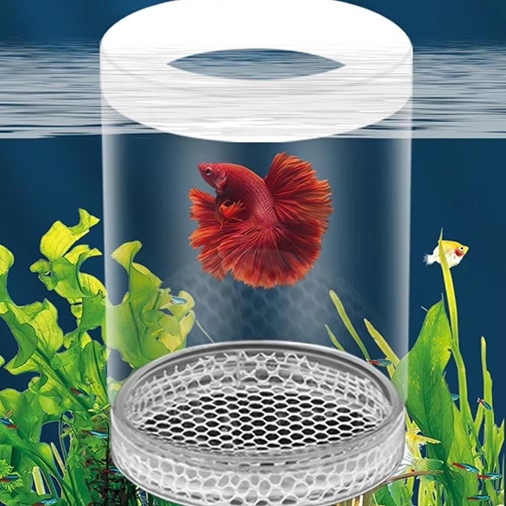 Transparent Aquarium Breeder Box Shrimp Guppy Fish Tank Incubator for Aquarium Hatchery Accessory