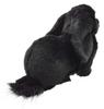BH8142 HANSA Holland Lop Черный 33