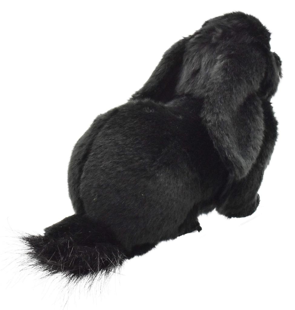 BH8142 HANSA Holland Lop Черный 33